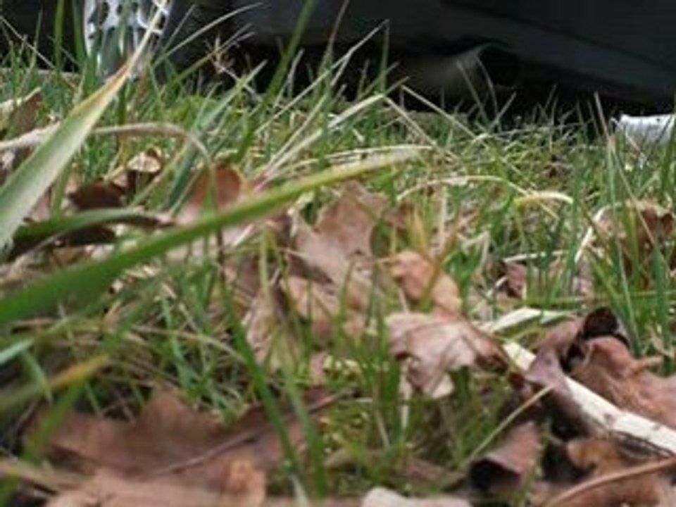 golf 3