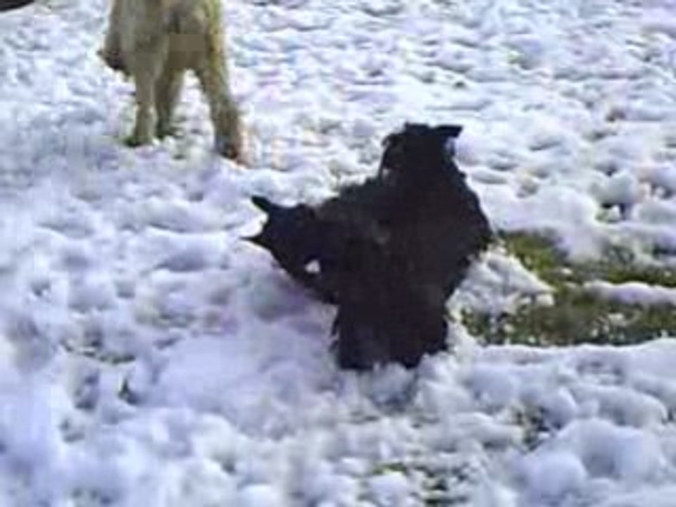 Działka 01.03.09 002 Alf i Bati