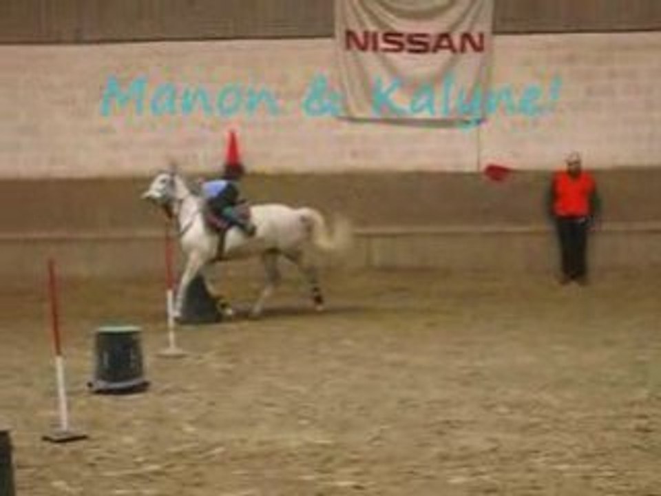 2 bouteilles, ptites caides au cha