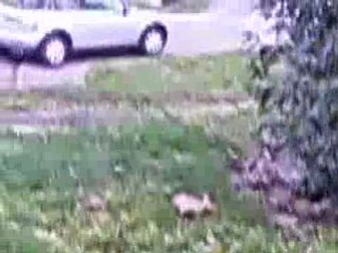 Fanfan et ses délires xD