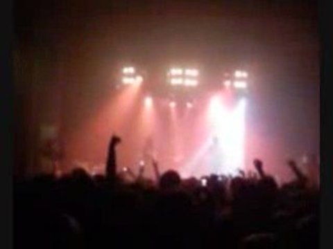 normalsi - nie ma mowy - koncert