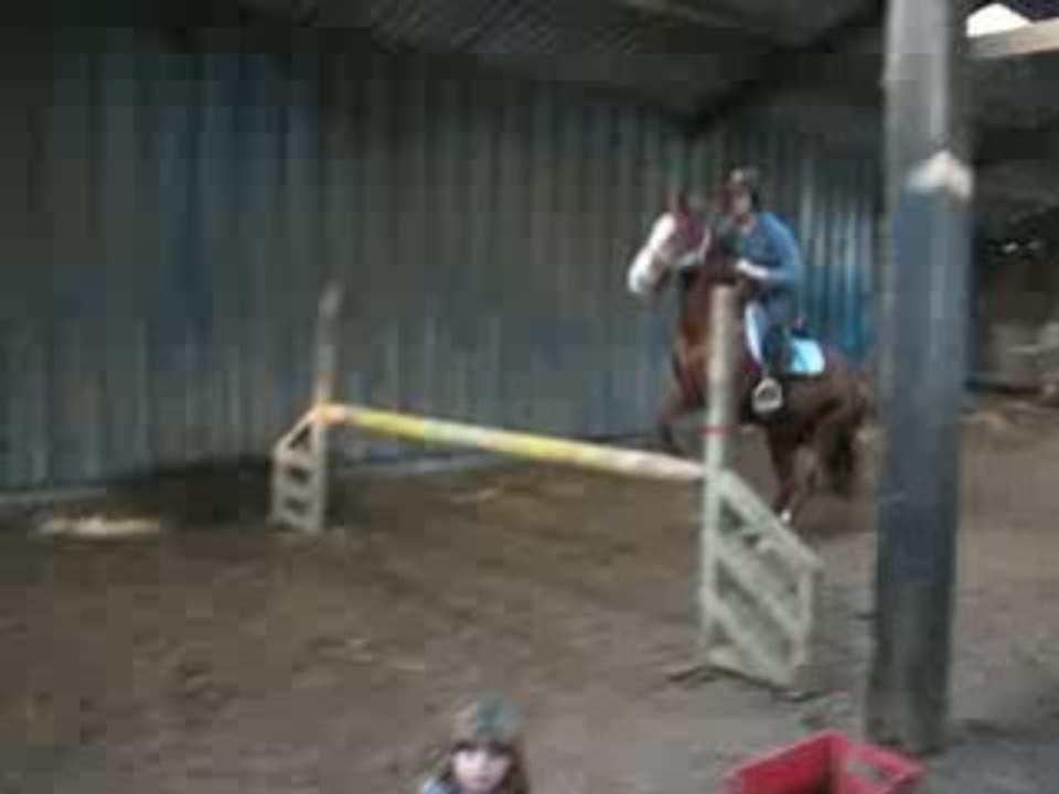 hona (l)