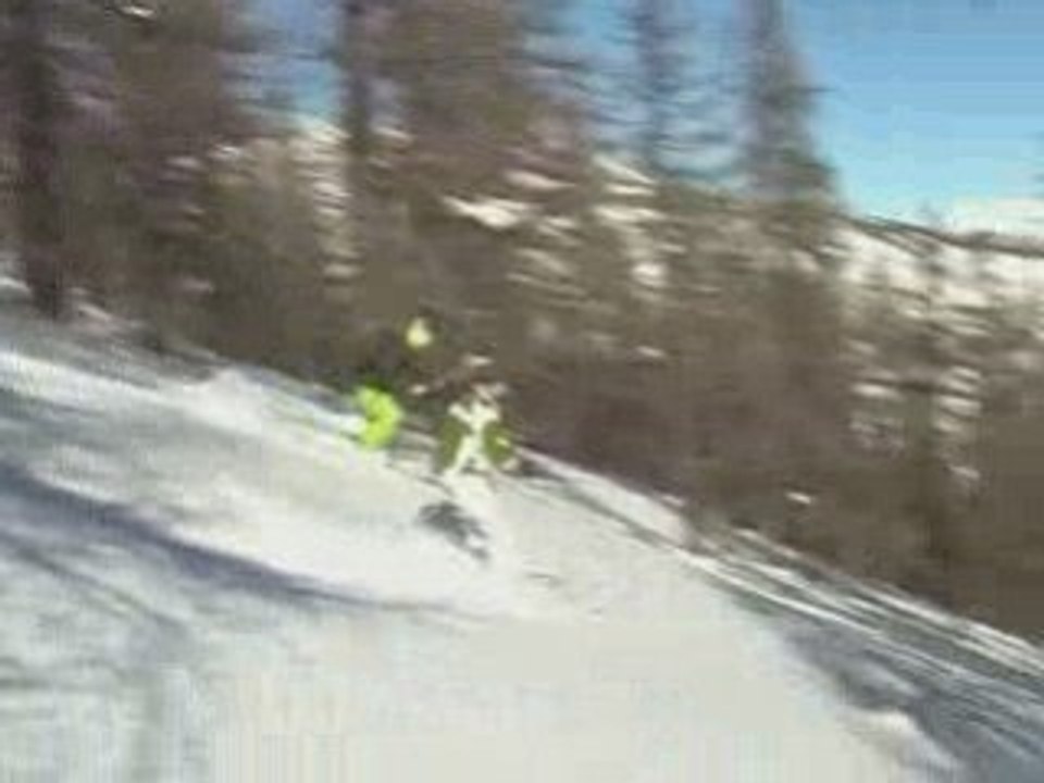 Vars 2009_poudreuse_forêt