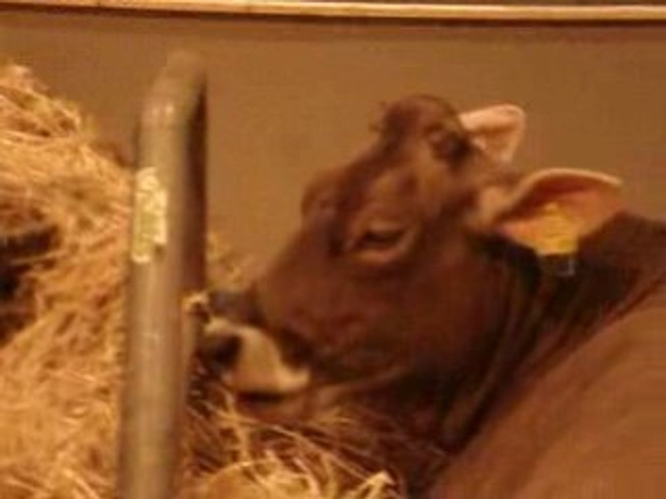 Ma vache Salon de l'Agriculture 220209