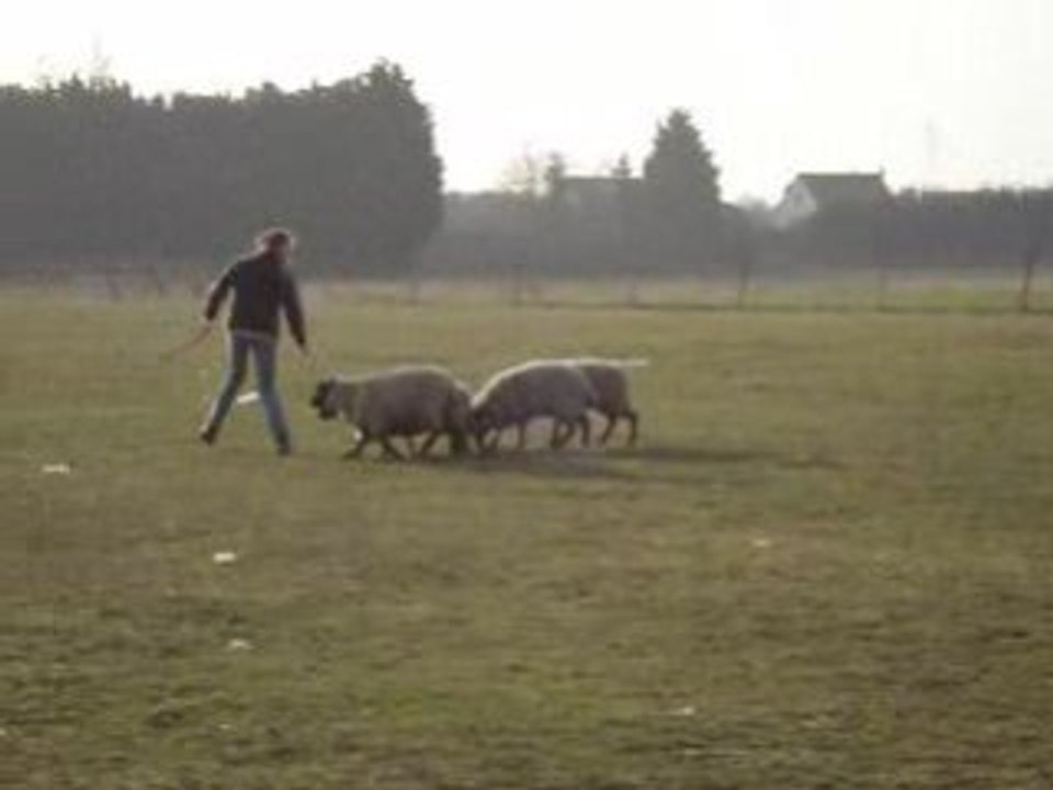 MOV03289
