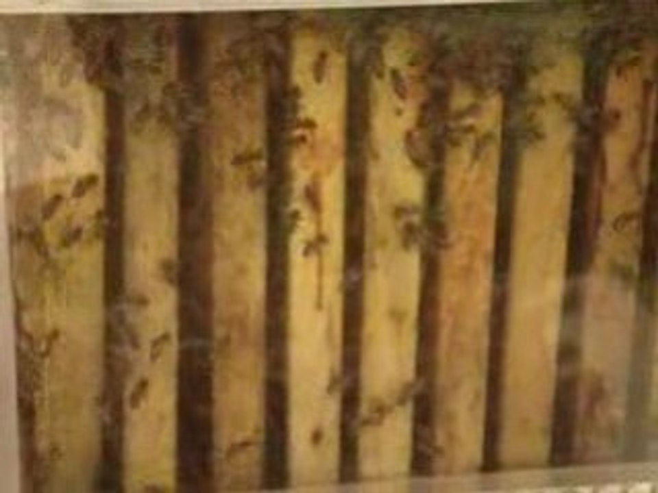 Abeilles Salon de l'Agriculture 220209