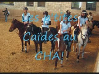 Ptites caides au CHA