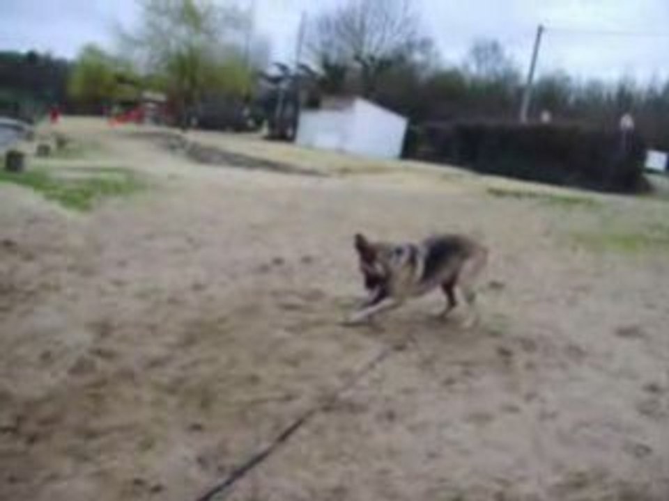 Orya à la plage !