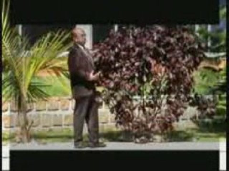 Henri Ratsimbazafy ft Bodo - Mahafatifaty