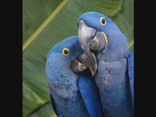 Just Friends-Dick Robertson