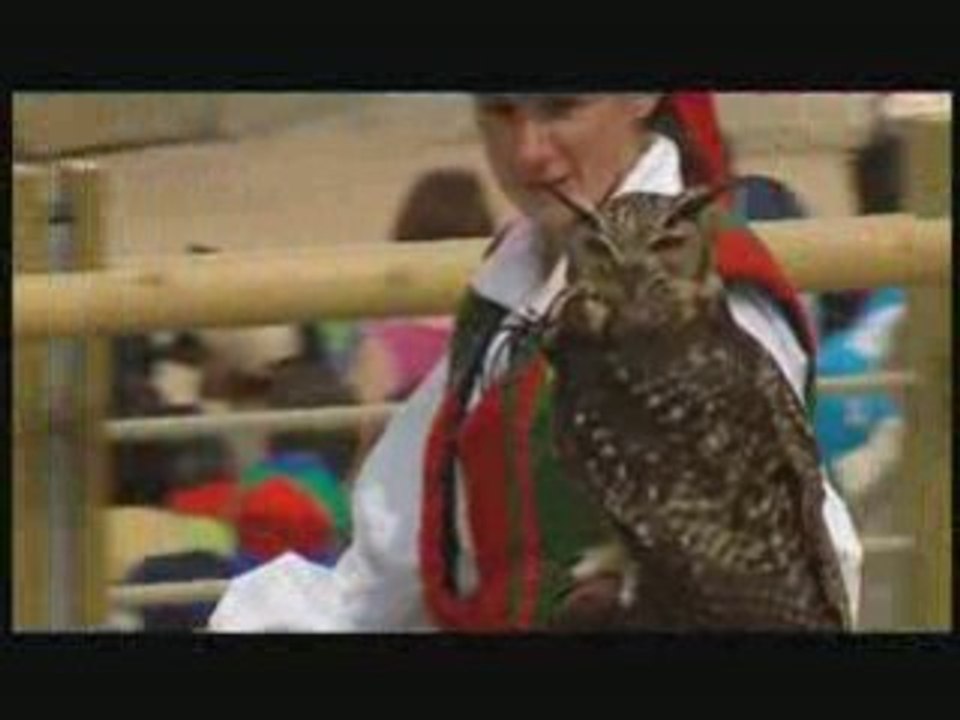 Puy du Fou - Le Bal des Oiseaux Fantômes