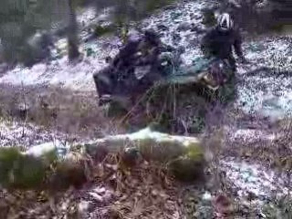 QUAD OULTANDER 400 MAX