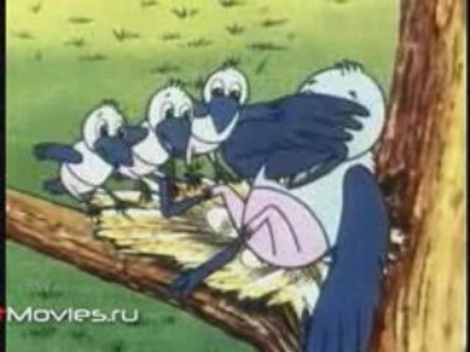 Еловое яблоко