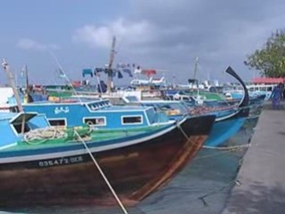 Maldives plans V8 climate group