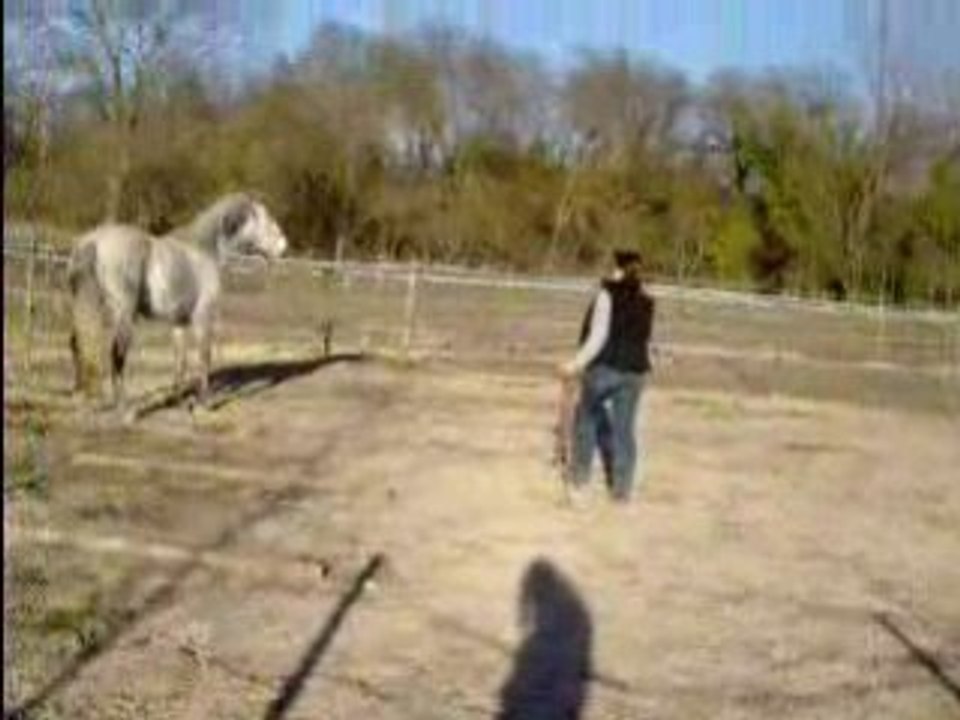 Rond de la longe Souris