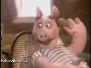 Как мышонок летучим стал