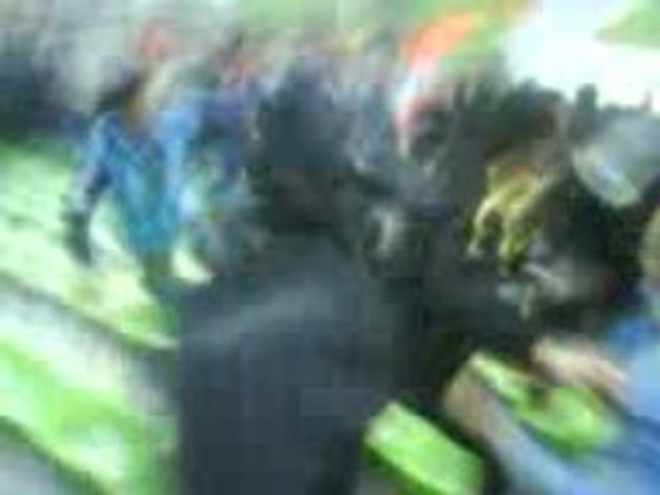 Caen OM parckage marseillais le pogo des marseillais