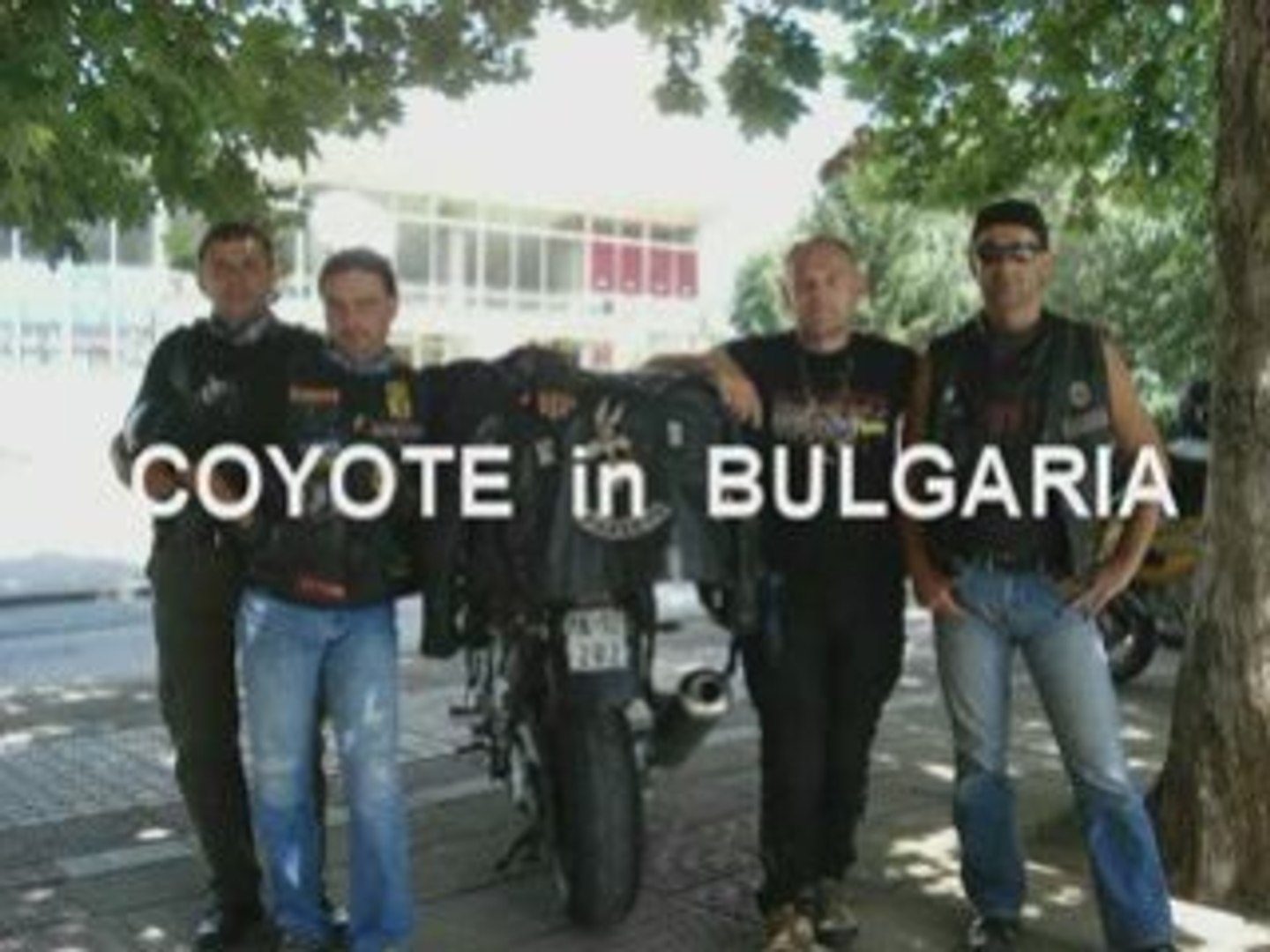 Coyote in bulgaria 2008