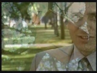 Erhan Güzel, Botanik Bahçesindeki Sincaplar