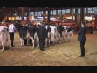 Section 6 et Meilleure laitière CGA 2009