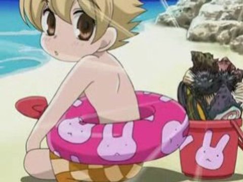 Amv - Ouran High School Host Club