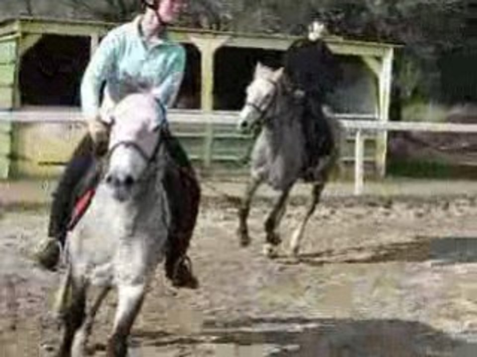 Ucpa 28 fevrier 2009 025