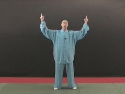 Taiji Quan - Style Yang - 108 mouvements