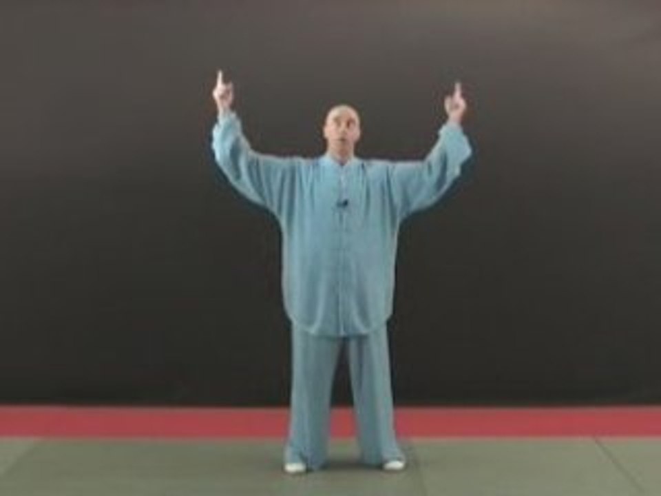 Taiji Quan - Style Yang - 108 mouvements