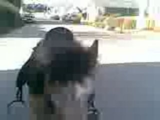 TAILA PONETTE A VENDRE NEE EN 2007 MAI