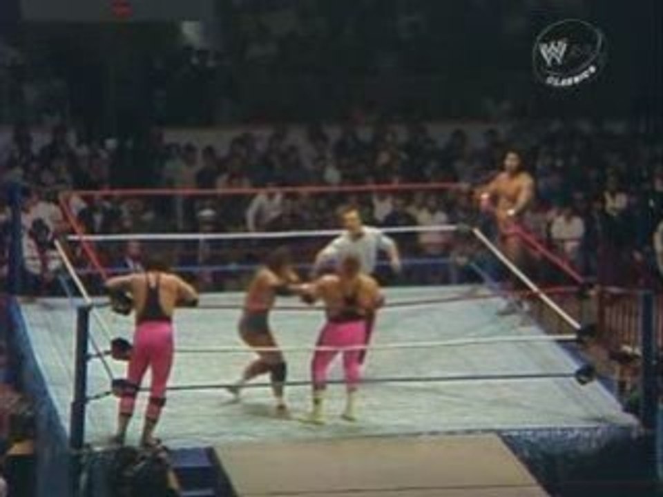 Hart Foundation vs. The Islanders
