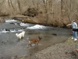 Balade suite 01.03.2009