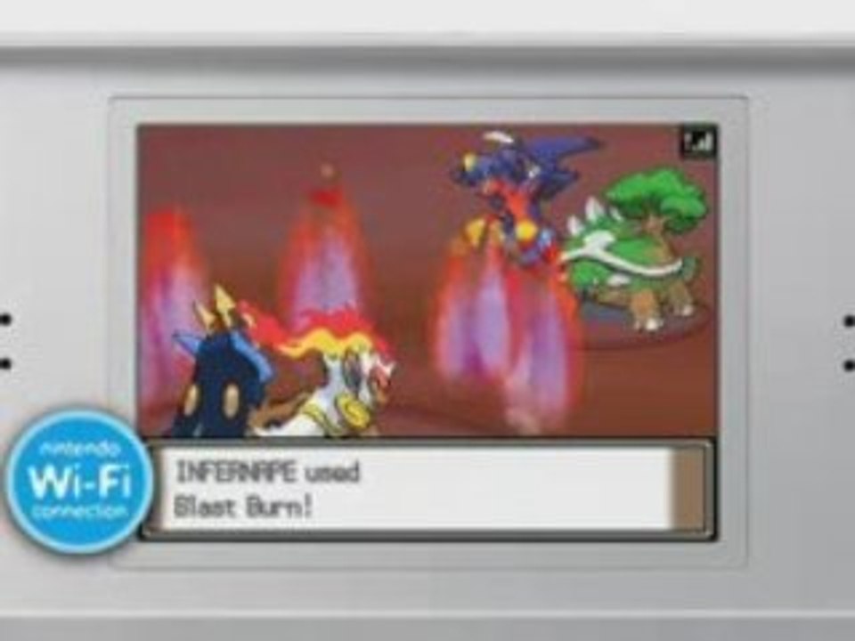 WWW.POKETERRA.COM