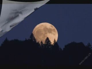 So Beats My Heart For You-Glen Leitzke's Midnite Serenaders