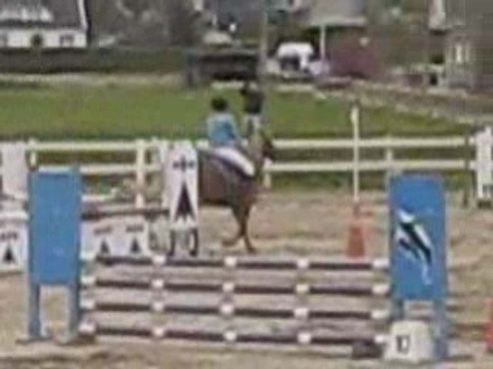 CSO Caudan Féline & Marine