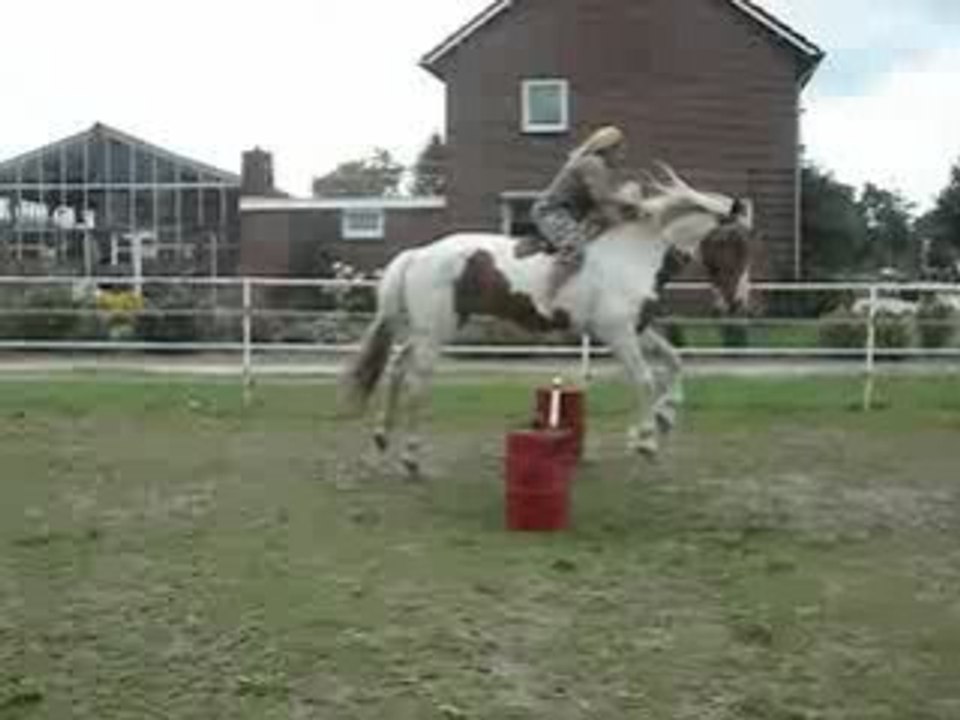 Bitloos springen 128