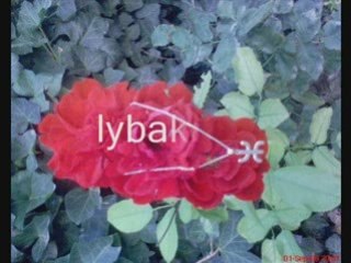 Ait menguelet fodagh sifam