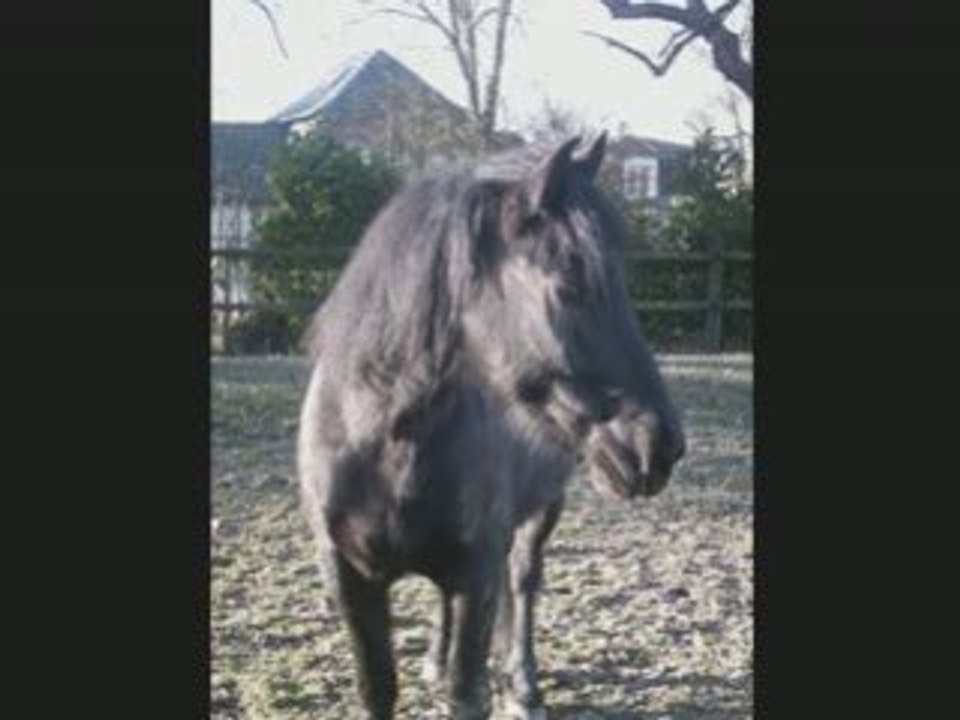 Moment merveilleux_0001