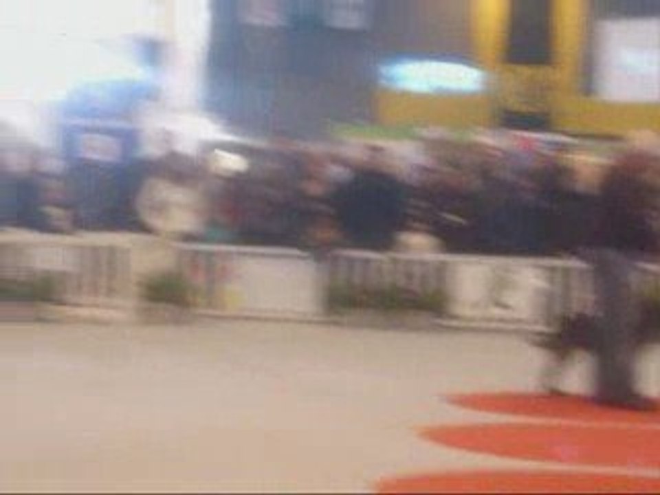 EPAGNEUL DE SAINT USUGE SALON PARIS 2009