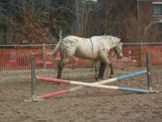 Ma tiite nana chérie