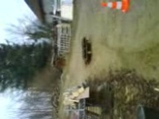 Moi et Benji sur le Saut improviser avec la barre 6eme