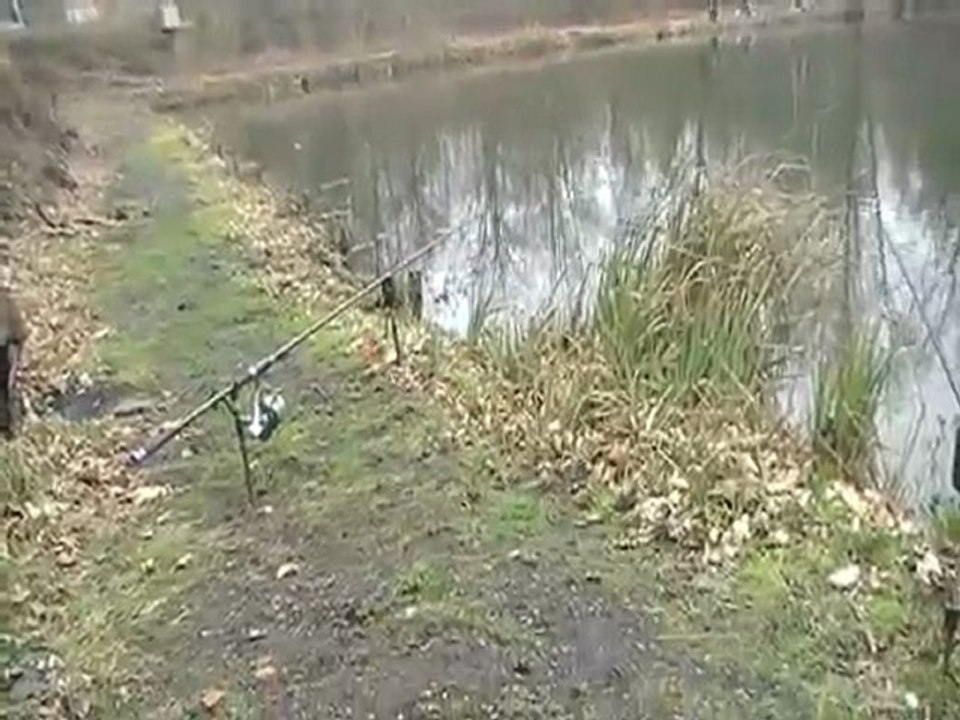 Sortie peche a carpe