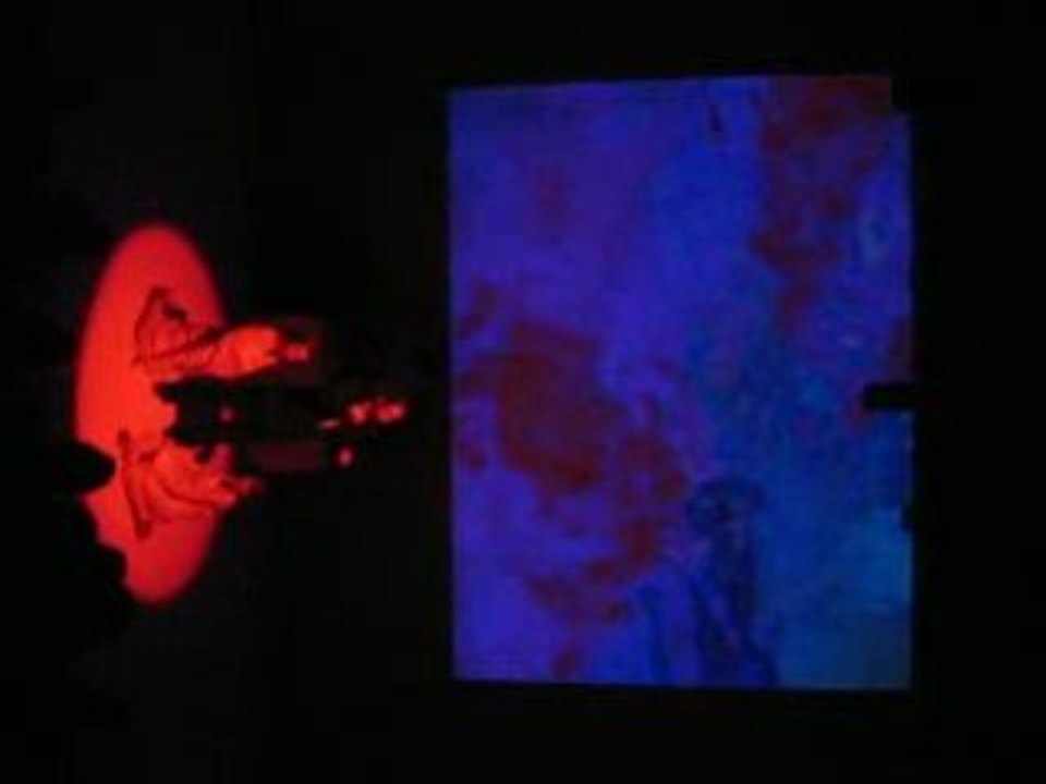 MVI_4391