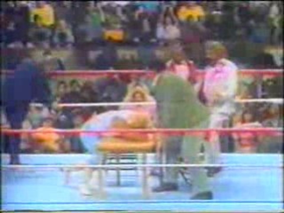 WWF History - Superstars of the 80's and early 90's