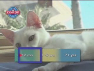 Hills Pet Food: A Historic Overview