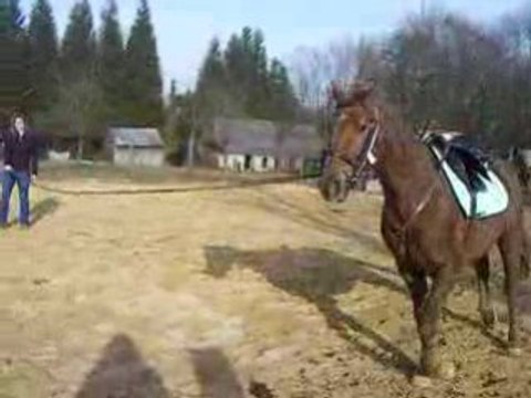 rotary longé par magda