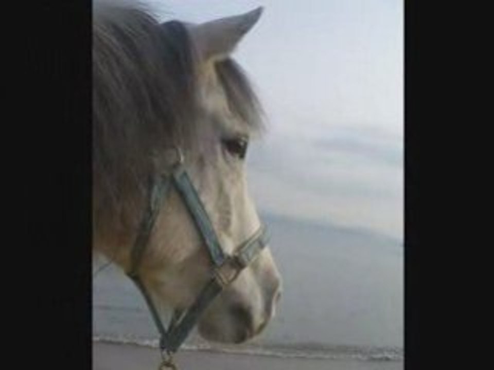Saphir - Plage