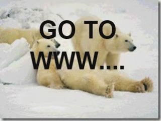 Create Wealth on the Internet--Don't blame Bush or Obama!