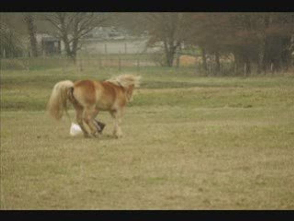 Pauline et Naiade 1er mars la cense