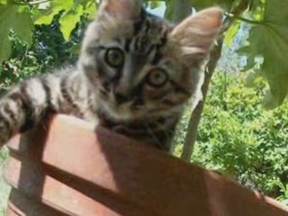 I'LL BE LOVIN' YOU , @LW@YS