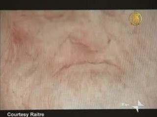 Face of Young Da Vinci Appears